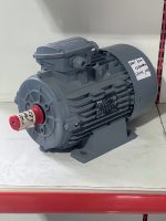 1610 01575 | ელექტრო ძრავი | VM100-4 3PH-3KW-1500RPM - Image 3