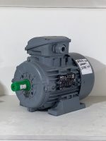 1610 02287 | ელექტრო ძრავი | VM80-2 3PH-0.75KW-3000RPM - Image 3