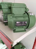 ელექტრო ძრავი 0.37 კვტ, 3000 ბრ/წთ, 1 ფაზა — WAT Q2M71M2B - Image 3