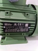 ელექტრო ძრავი 0.25 კვტ, 1500 ბრ/წთ, 3 ფაზა — WAT Q2E71M4A-KG - Image 2